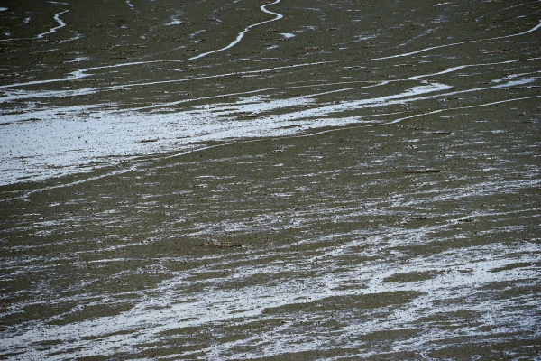 빛을 받아 추상 그림을 그린듯한 무의도 갯벌 물줄기들. 사진_조현주