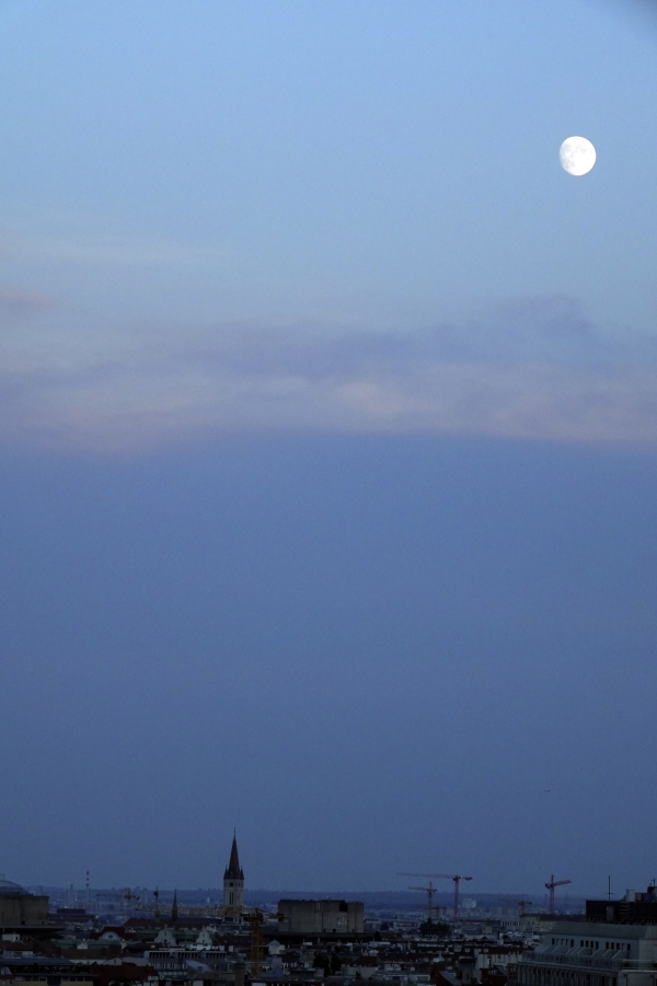 슈테판 성당 첨탑에서 바라본 둥근 달이 도시를 비춘다 (오스트리아 비엔나). 사진_조현주
