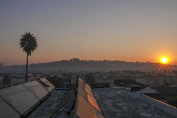 미션지구 옥상에서 바라본 일출. 키 큰 팜트리가 정겹다(미국 샌프란시스코). 사진_조현주