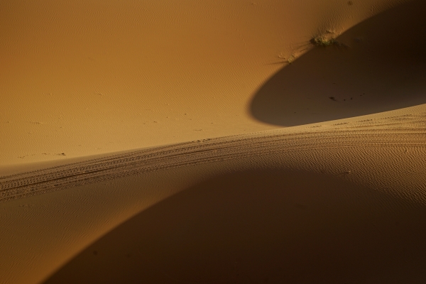 빛이 비친 사막에 사륜 구동 자동차 바퀴 자국이 선명하다.   사진_조현주