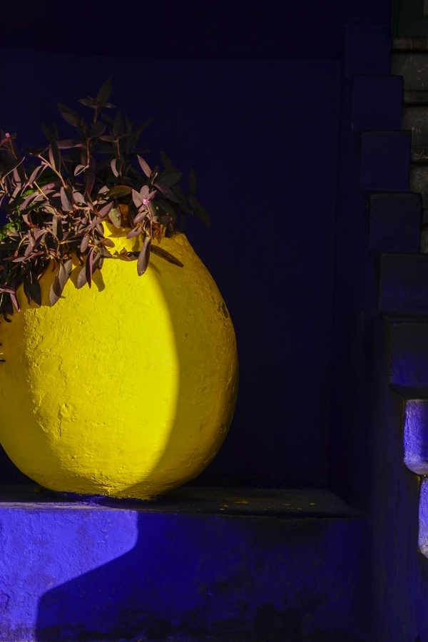 '마조렐 블루' 바닥에 빛을 받은 노란 화분이 선명하게 대비된다.  사진_조현주