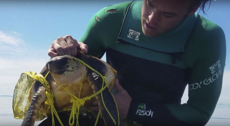 지난 2017년 서던캘리포니아 해변에서 발견된 바다 거북. 온몸에 터진 풍선 잔해로 제대로 움직이지 못해 발견한 남성이 직접 풀어주어야 했다. ⓒ유튜브캡처