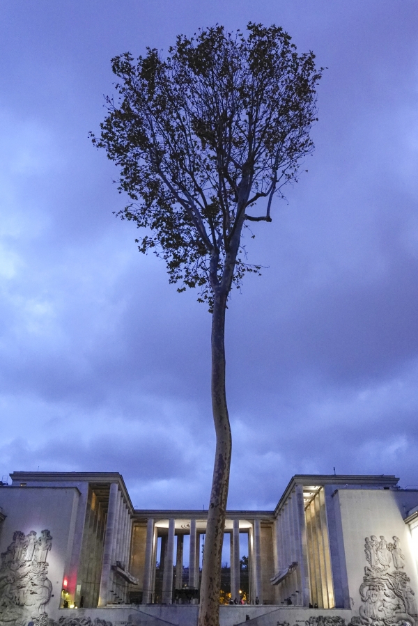 기념관을 배경으로 나홀로 나무가 외롭게 우뚝 서있다 (프랑스 파리). 사진_조현주