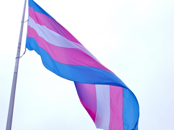 트랜스젠더 정체성을 ‘정신 및 행동 장애’로 분류했던 WHO가 30년 만에 이를 모두 삭제했다. 사진은 트랜스젠더의 권리를 상징하는 깃발(Transgender Pride flag). ⓒFlickr