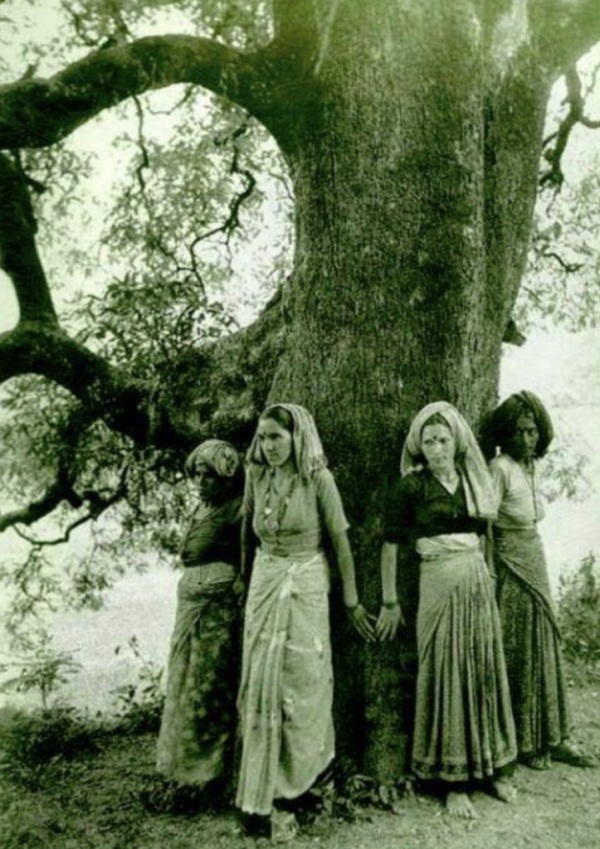 1973년 인도의 ‘칩코 운동’(나무 껴안기) 모습. 벌목 위기에 처한 나무들을 지키기 위해 여성들이 껴안고 있다.