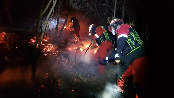 산림청 산불재난특수진화대 대원들이 19일 새벽 강원 양양군 양양읍 사천리에서 발생한 산불을 진화하고 있다. ⓒ강릉산림항공관리소