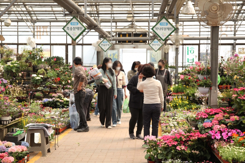 24일 오후 서울 서초구 양재꽃시장에 시민들은 봄 날씨로 화사하게 핀 꽃과 화분을 둘러보고 있다. ⓒ홍수형 기자