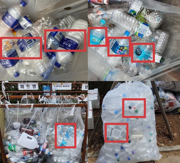 서울 공동주택 투명페트병 분리배출함에 다른 쓰레기들이 섞여 있다. 라벨, 요구르트병, 치킨무 용기 등은 투명페트병에 해당하지 않는다. ⓒ여성신문<br>