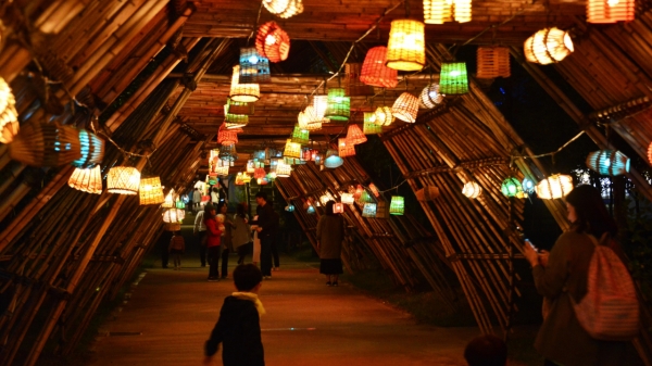 전남 담양 대나무축제 모습 ⓒ담양군