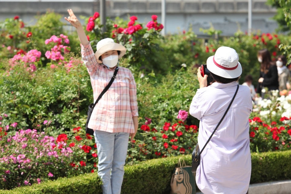 18일 서울 중랑구 장미공원에서 시민들은 기념촬영을 하고 있다. ⓒ홍수형 기자