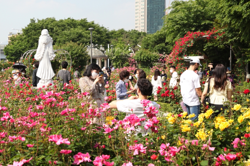 18일 서울 중랑구 장미공원에서 시민들은 기념촬영을 하고 있다.ⓒ홍수형 기자
