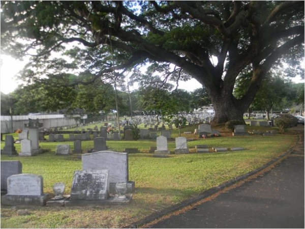 미국 하와이 오하우 공동묘지.  ⓒ한국여성독립운동연구소