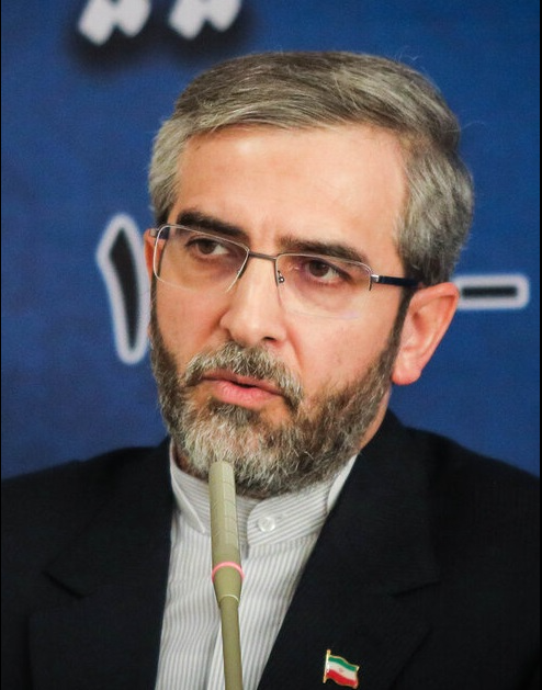 이란의 협상대표인 알레 바게리 카니 외무부 차관 ⓒ위키피디아