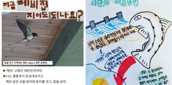 '청소년 밤섬 생물다양성 챌린지' 참가자들의 과제물 ⓒ에코맘코리아 제공