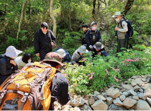 환경부 산하 국립공원공단(이사장 송형근)은 추석을 맞이해 가족들과 함께 가을철 야생화를 만나 볼 수 있는 ‘국립공원 야생화 꽃길’ 21곳을 소개했다. ⓒ국립공원공단 제공