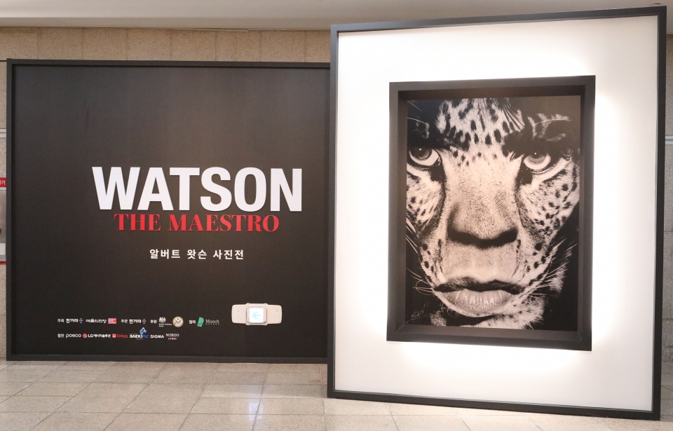 8일 서울 서초구 예술의전당에서 한겨레와 예술의전당이 알버트 왓슨 사진작가의 'WATSON, THE MAESTRO-알버트 왓슨 사진전'를 개최했다. ⓒ홍수형 기자