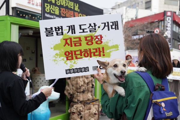 23일 ‘국제 강아지의 날’을 맞아 개 식용 문제의 조속한 해결을 촉구하는 기자회견에 참가한 활동가와 반려견. ⓒ이수진 기자