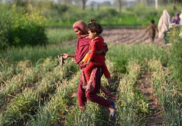 파키스탄 여성이 딸을 안고 일하기 위해 농지로 돌아가고 있다. ⓒFAO/Aamir Qureshi