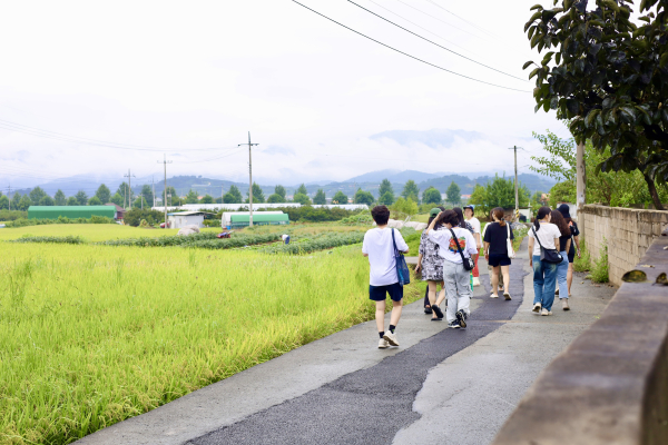 '시골언니 프로젝트' 청도 1기 참가자들이 '농부언니' 신인숙 씨와 함께 청도읍 논길을 걷고 있다. ⓒ시골언니 프로젝트