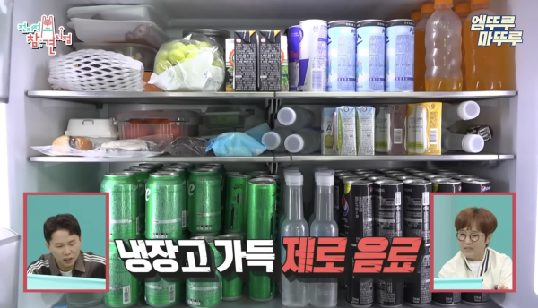 MBC 예능 ‘전지적 참견 시점’에서 가수 권은비는 냉장고에 제로(ZERO) 음료를 가득 채워 놓아 주목받았다. 사진 = MBC 유튜브 영상 중 일부