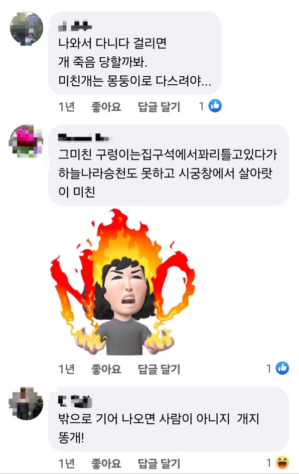 페이스북 그룹 '38선까지 안희정!' 게시물에 달린 댓글. ⓒ페이스북 캡처