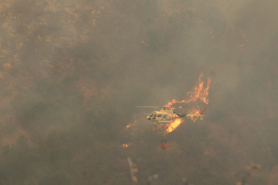 (킬푸에 AP=연합뉴스) 헬기가 칠레 발파라이소주에서 발생한 산불 진압에 나서고 있다.