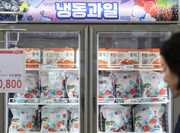 지난 8일 서울 한 대형마트에 진열된 냉동 과일. ⓒ연합뉴스