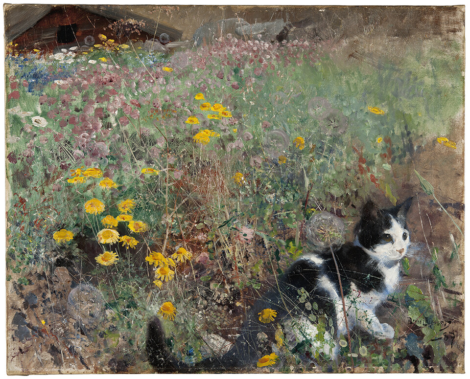 브루노 릴리에포르스, 꽃이 핀 목초지 위의 고양이(Cat on a flowery meadow), 1887, Oil on canvas, 61 × 76 cm. ⓒ스웨덴국립미술관/마이아트뮤지엄 제공