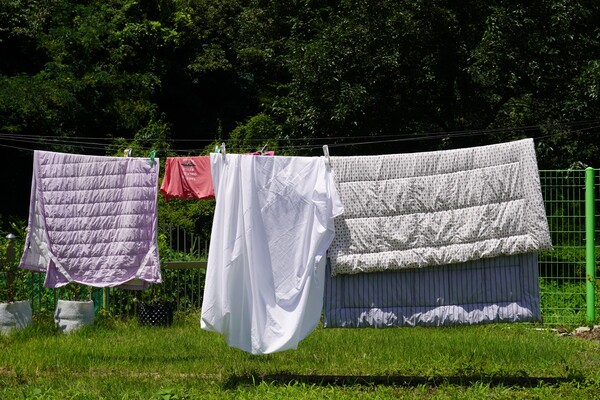 7월 27일 경남 시설의 앞마당에 이불이 널려 있다. ⓒ신다인 기자