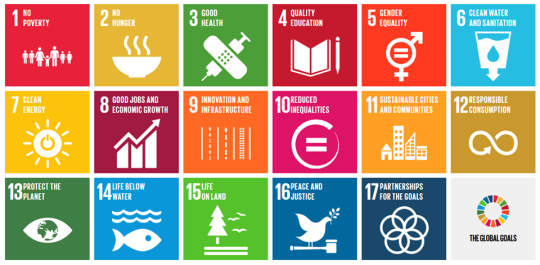 빈곤 퇴치 등을 위해 향후 15년간 국제사회가 이행해야 할 목표로 유엔이 제시한 17개 '지속가능발전목표(Sustainable Development Goals: SDGs)'.cialis coupon cialis coupon cialis coupongabapentin withdrawal message board gabapentin withdrawal message board gabapentin withdrawal message board ⓒUN본부 제공