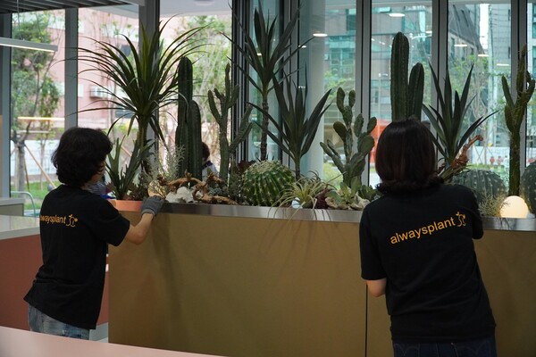 서초여성일자리주식회사 경력여성 특화 일자리인 '플랜테리어' 작업 모습 ⓒ서초구