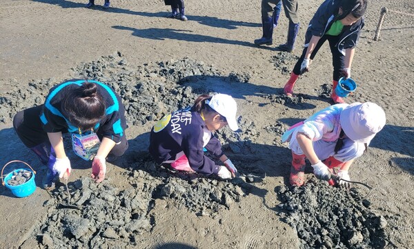 갯벌체험 ⓒ마포구