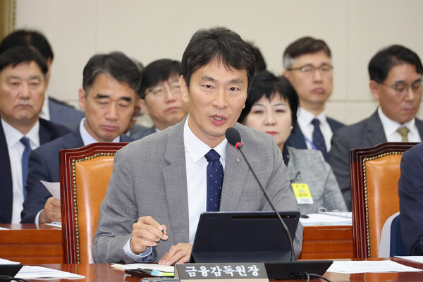 이복현 금융감독원장이 17일 서울 여의도 국회에서 열린 정무위원회의 금감원 등에 대한 국정감사에서 김건희 여사의 도이치모터스 주가조작 연루 의혹에 대한 검찰의 불기소 처분과 관련한 질의에 답하고 있다. ⓒ연합뉴스