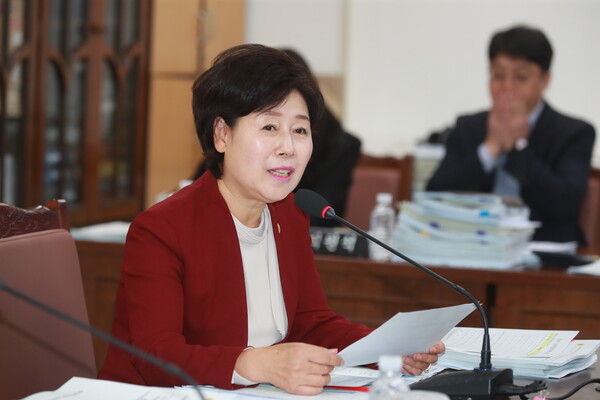 이경심 제주도의원이 감사위원의 성별 균형 강화를 위한 '제주도 감사위원회 구성 및 운영에 관한 조례’ 개정안을 대표발의했다. ⓒ제주도의회