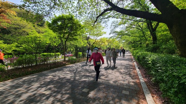 과천시민들이 관내에서 산책하는 모습 ⓒ과천시