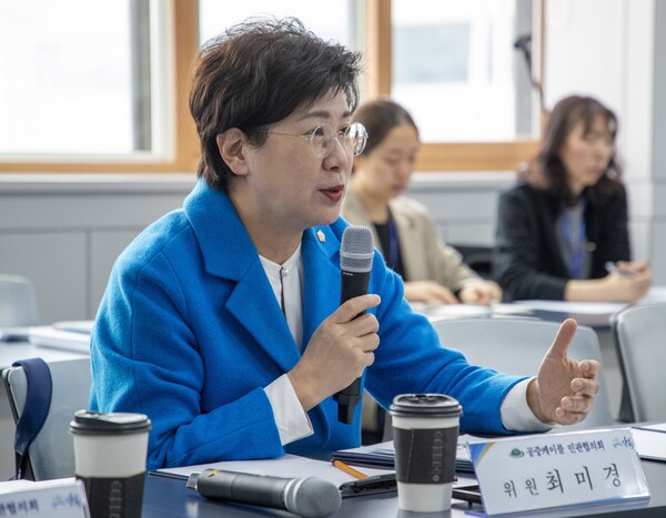 공중케이블 문제 해결을 위한 민관협의회에서 발언하고 있는 모습 ⓒ강북구의회