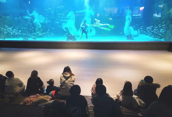 22일 대전 신세계 Art&Science의 후원으로 진행된 문화프로그램에서 드림스타트 아동들이 아쿠아리움 체험을 하고 있다. ⓒ유성구