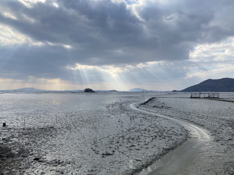 순천만 ⓒ장봉현 기자