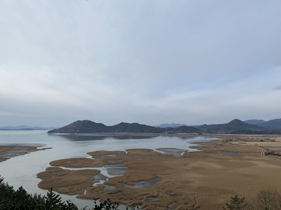 순천만습지 ⓒ장봉현 기자