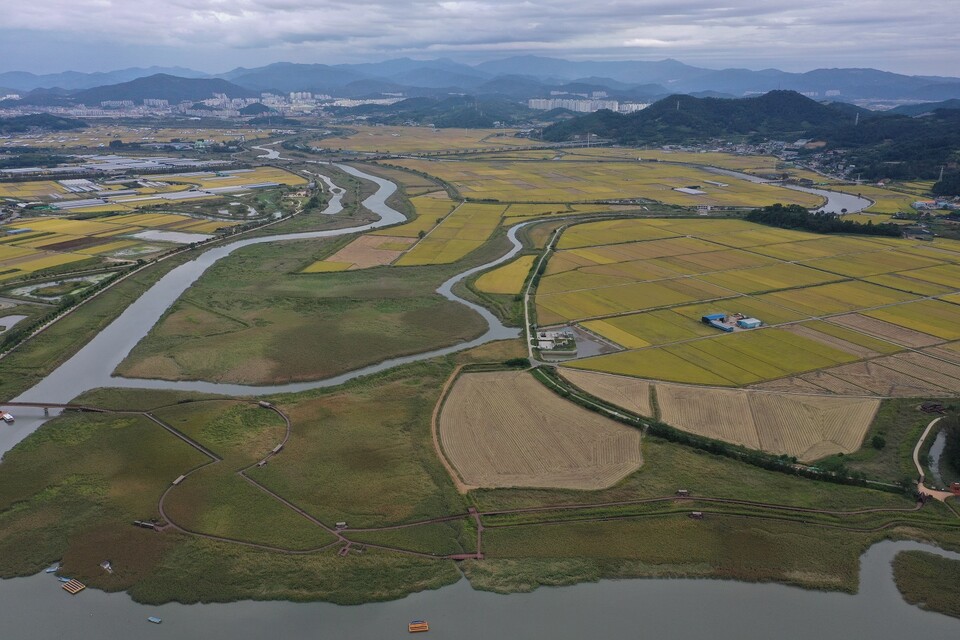 순천시가 순천만에서 도심까지 연결하는 동천하구 습지 복원을 본격 추진한다. 이 사업은 순천만의 생태·경제적 가치를 도심으로 확장하기 위해서다.  ⓒ순천시