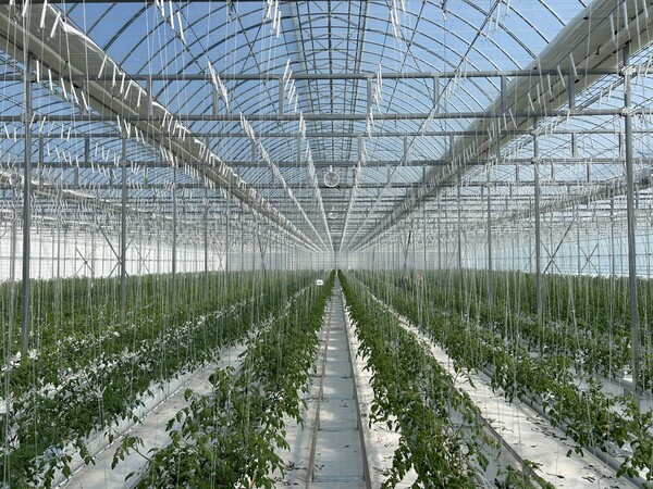 크로프트의 온실 전경. ⓒ크로프트