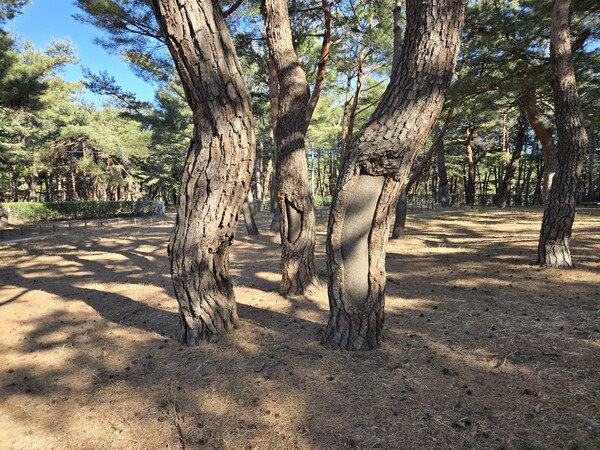 ⓒ한국여성수련원