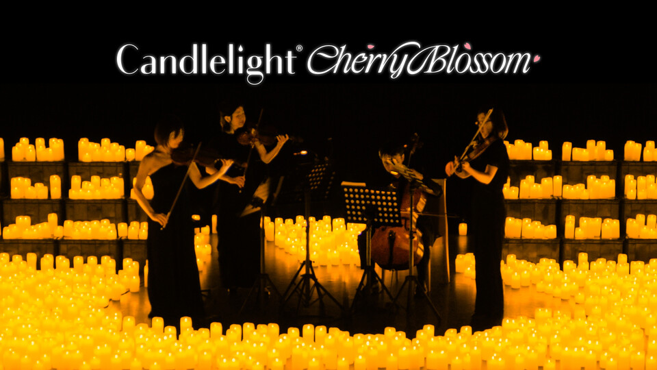 ‘캔들라이트 벚꽃’ 콘서트 무대. ⓒ피버 제공