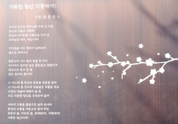 홍매화의 아름다움과 굳은 절개를 예찬한 시비는 높이 1m, 폭 0.7 크기의 동판으로 헌정시 ‘거룩한 법신 각황매여’가 새겨져 있다.  ⓒ현중순 제공