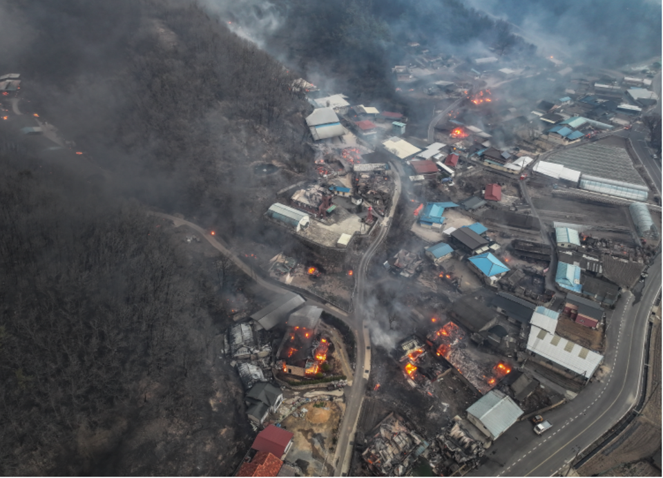 경북 의성군 산불 발생 나흘째인 25일 의성군 단촌면 하화1리 마을이 강풍에 날아온 산불 불씨로 불타고 있다. ⓒ연합뉴스