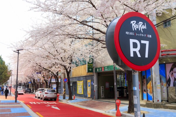 지난해 벚꽃이 만개한 레드로드 R7 전경. ⓒ마포구
