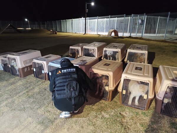 ⓒ동물자유연대