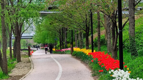 고덕천산책로 전경. ⓒ강동구
