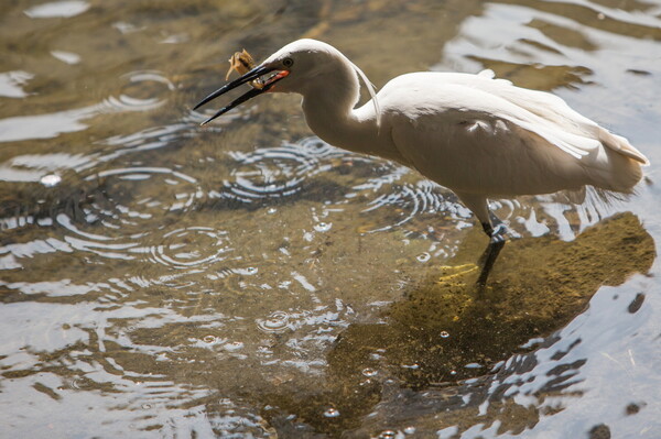 성북천 스케치. ⓒ성북구