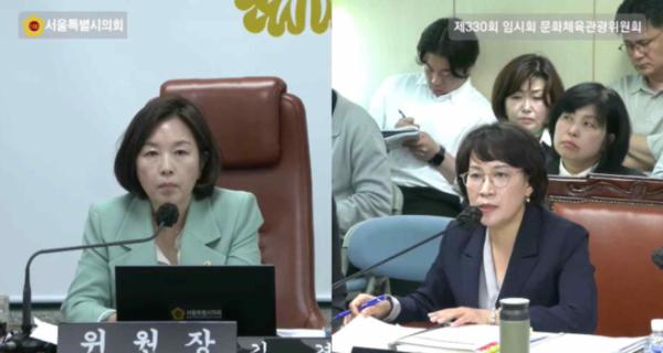 지난달 28일 제330회 임시회 문화체육관광위원회 문화본부 업무보고 및 질의·응답. ⓒ서울특별시의회